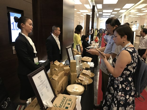 经济专家：对大米出口问题要着眼长远 ảnh 1