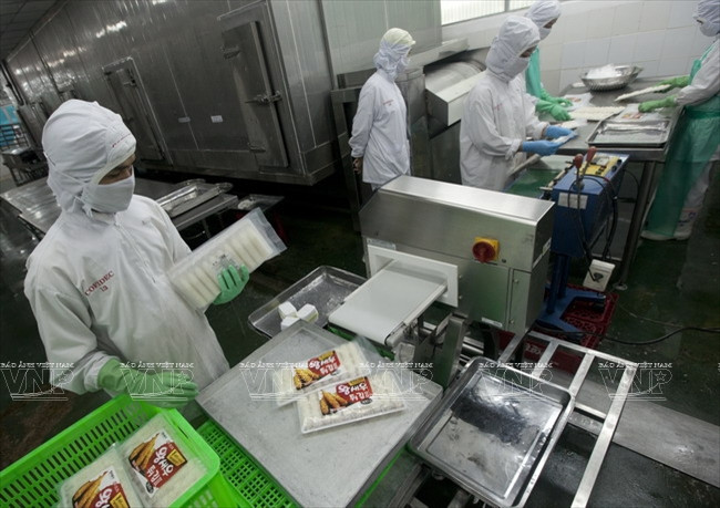 沿海经济发展公司 ảnh 7 沿海经济发展公司 ảnh 7