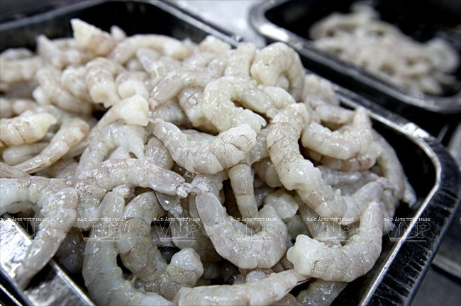 沿海经济发展公司 ảnh 3 沿海经济发展公司 ảnh 3