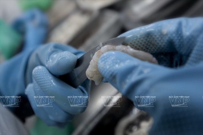 沿海经济发展公司 ảnh 2 沿海经济发展公司 ảnh 2