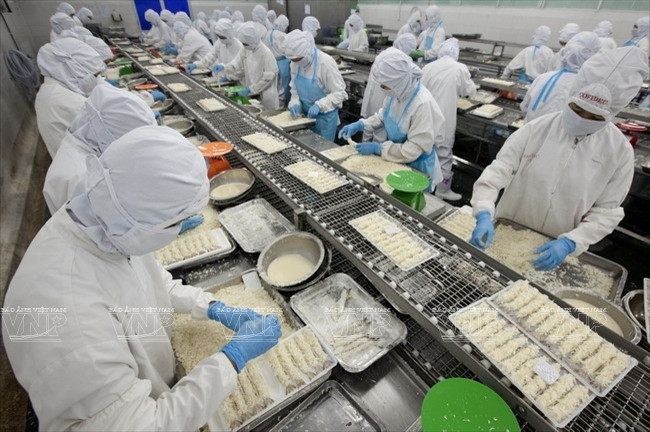 沿海经济发展公司 ảnh 1 沿海经济发展公司 ảnh 1