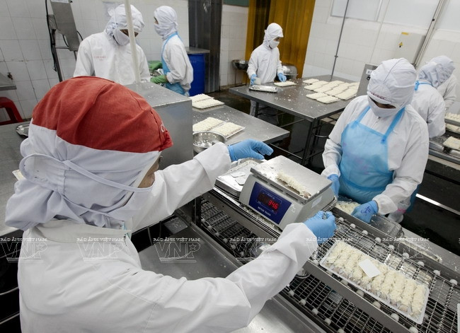 沿海经济发展公司 ảnh 5 沿海经济发展公司 ảnh 5