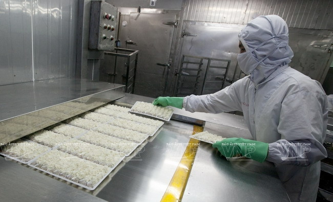 沿海经济发展公司 ảnh 6 沿海经济发展公司 ảnh 6