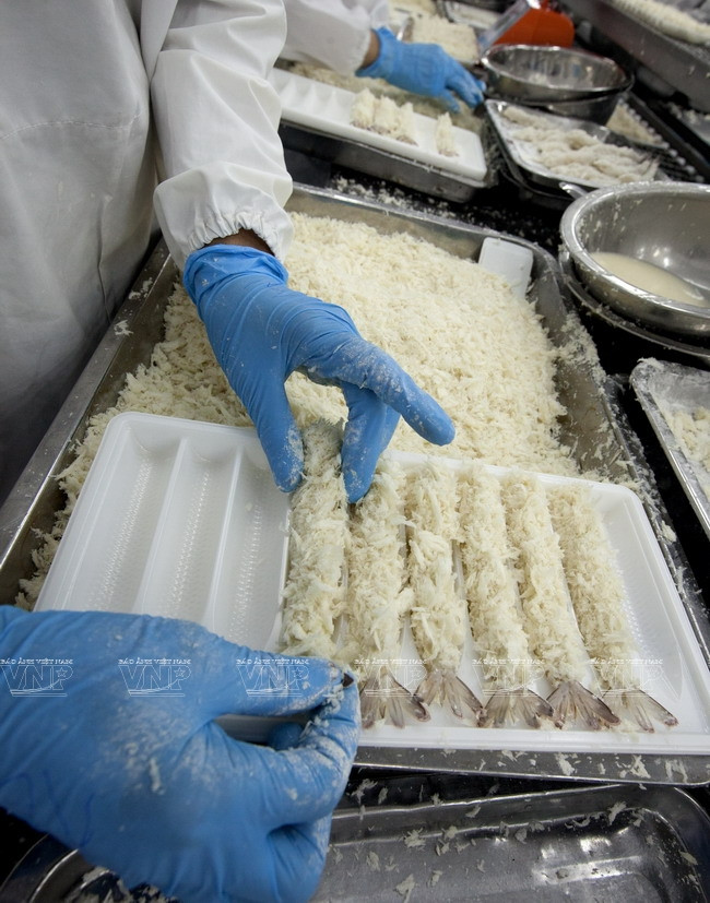 沿海经济发展公司 ảnh 4 沿海经济发展公司 ảnh 4