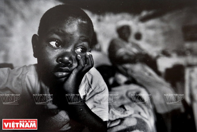 Ziv Koren 人物与光线的结合 ảnh 10