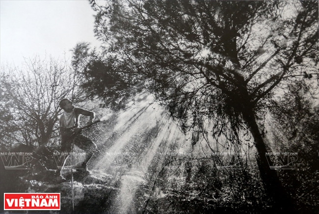 Ziv Koren 人物与光线的结合 ảnh 8