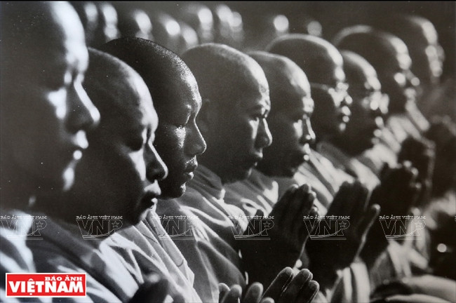 Ziv Koren 人物与光线的结合 ảnh 9