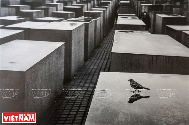 Ziv Koren 人物与光线的结合 ảnh 15