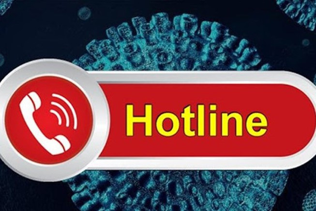 胡志明市新冠肺炎疫情防控热线正式投入使用 ảnh 1 胡志明市新冠肺炎疫情防控热线正式投入使用 ảnh 1