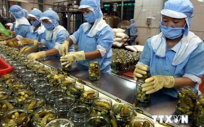 越南企业努力促进对新加坡的出口 ảnh 1 越南企业努力促进对新加坡的出口 ảnh 1