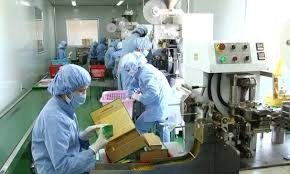 林同省努力协助受疫情影响的企业 ảnh 1 林同省努力协助受疫情影响的企业 ảnh 1