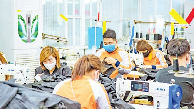 主动把握来自欧洲市场的机遇 ảnh 1 主动把握来自欧洲市场的机遇 ảnh 1