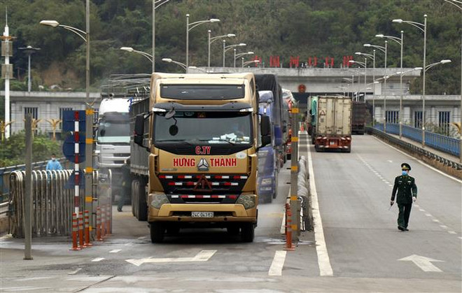 今年第一季度通过老街省口岸出口的部分农产品呈增长趋势 ảnh 1