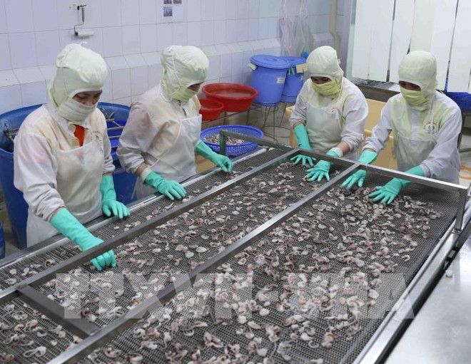 各省份努力为产品拓展出口市场 ảnh 1