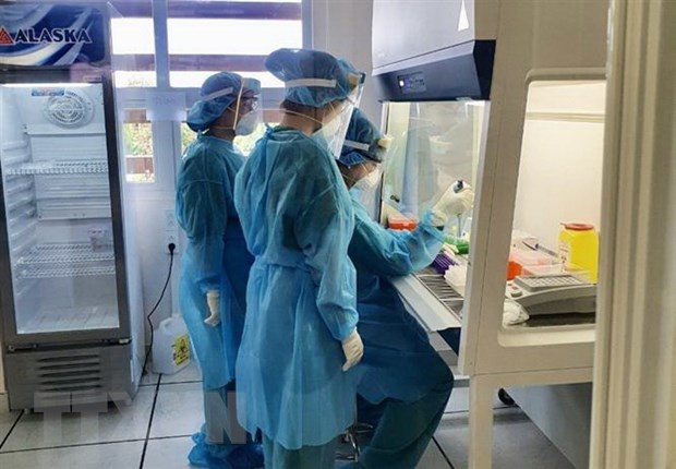 越南外交部发言人就一名越南驻法国大使馆工作人员感染新冠肺炎一事做出回应 ảnh 1 越南外交部发言人就一名越南驻法国大使馆工作人员感染新冠肺炎一事做出回应 ảnh 1