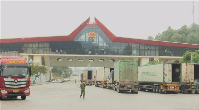 新冠肺炎疫情：配合控制各口岸的货物运输工具 ảnh 1