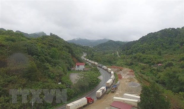 新冠肺炎疫情:中国强化口岸管控 越南对华出口影响严重 ảnh 1  新冠肺炎疫情:中国强化口岸管控 越南对华出口影响严重 ảnh 1
