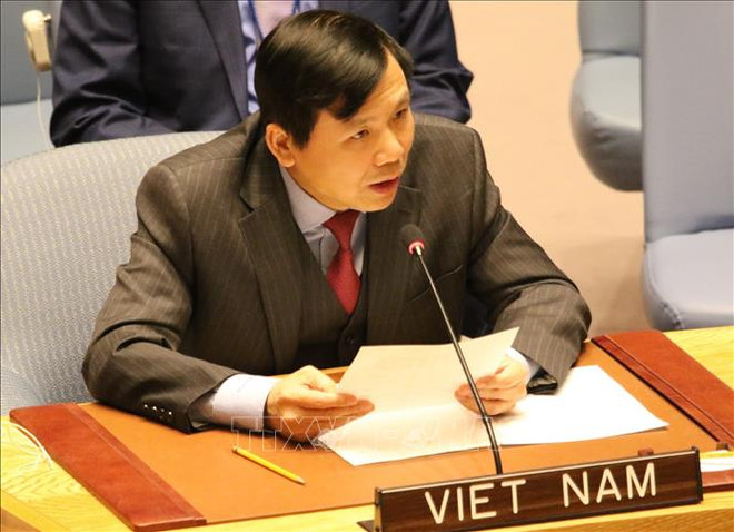 越南为担任联合国安理会非常任理事国职务做好准备 ảnh 1 越南为担任联合国安理会非常任理事国职务做好准备 ảnh 1