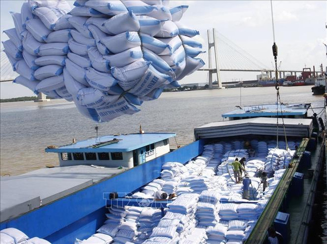 ☕️越通社新闻下午茶(2023.4.19) ảnh 2 ☕️越通社新闻下午茶(2023.4.19) ảnh 2