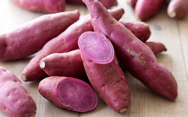 越南随时准备向中国出口首批红薯 ảnh 1