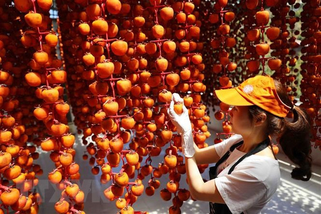 林同省将177种OCOP产品上架电商平台售卖 ảnh 1