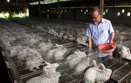 高科技发展与模式革新——使红河平原成为全国经济发展龙头的新动力 ảnh 1