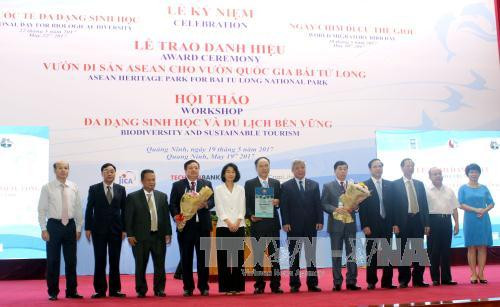 加入联合国40周年：越南已获得联合国全方位支持 ảnh 1