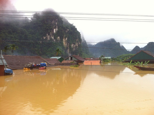 越南为及时应对变化无常的自然灾害做好两手准备 ảnh 1