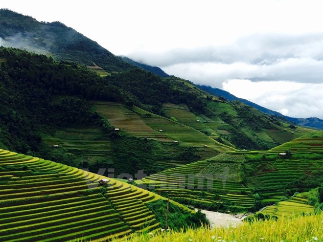 2017安沛省旅游年拉开序幕 ảnh 1 2017安沛省旅游年拉开序幕 ảnh 1