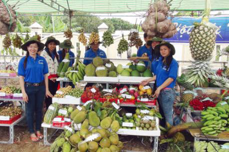 2017年朔庄省水乡果园节预计将吸引1万人参加 ảnh 1