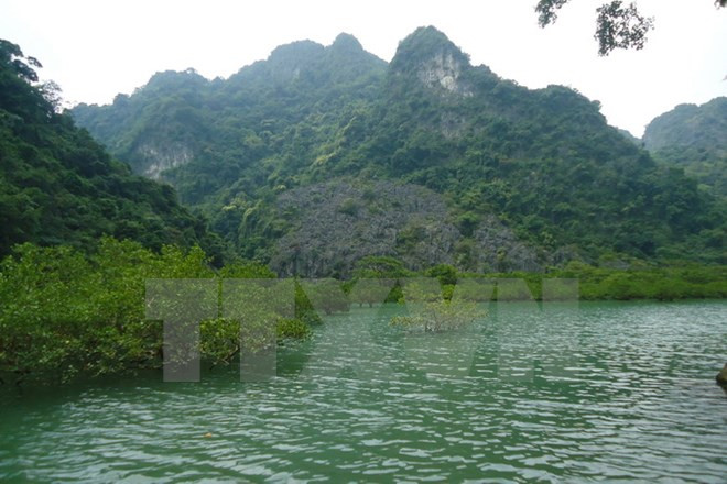 越南广宁省拜子龙国家公园成为东盟第38个遗产公园 ảnh 1 越南广宁省拜子龙国家公园成为东盟第38个遗产公园 ảnh 1