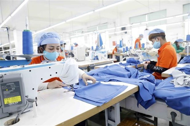 越南企业抓住CPTPP带来的机遇 ảnh 1 越南企业抓住CPTPP带来的机遇 ảnh 1