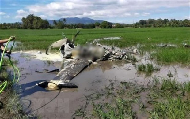 菲律宾空军一架飞机坠毁 2名飞行员遇难 ảnh 1