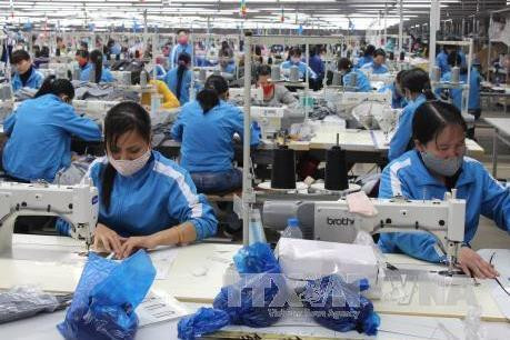 前9月越南纺织服装集团出口额超20亿美元 ảnh 1 前9月越南纺织服装集团出口额超20亿美元 ảnh 1