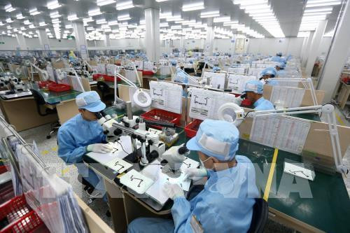 2019年第四季度胡志明市劳动力需求达7.5万 ảnh 1