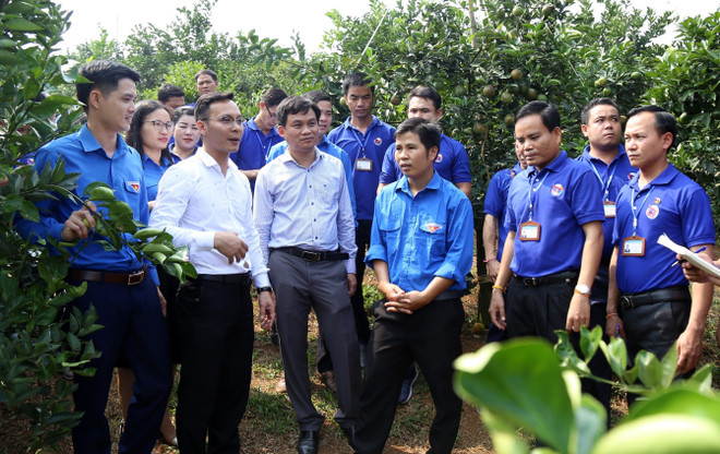 老挝人民革命青年代表团访问越南和平省 ảnh 1 老挝人民革命青年代表团访问越南和平省 ảnh 1