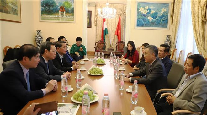 越南国会副主席冯国显对匈牙利进行工作访问 ảnh 3