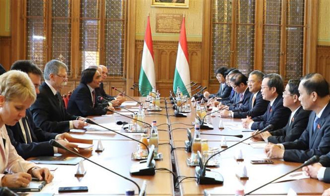 越南国会副主席冯国显对匈牙利进行工作访问 ảnh 2