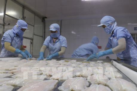 越南与以色列进出口商品结构互补性强 ảnh 2 越南与以色列进出口商品结构互补性强 ảnh 2