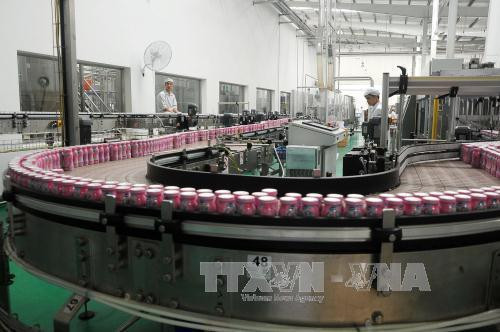 政府和政府总理2019年9月的主要指示 ảnh 2 政府和政府总理2019年9月的主要指示 ảnh 2