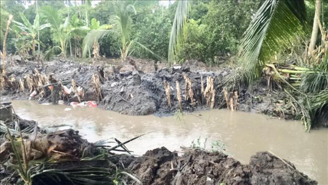 潮汐导致越南多地遭受重大损失 ảnh 1 潮汐导致越南多地遭受重大损失 ảnh 1