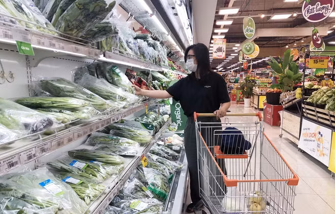 越南市场的购物需求将逐步回升 ảnh 2 越南市场的购物需求将逐步回升 ảnh 2