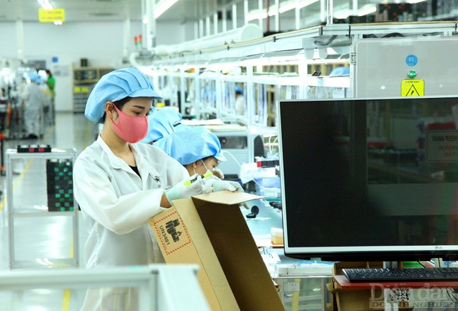 海防市对高素质劳动力的需求巨大 ảnh 1 海防市对高素质劳动力的需求巨大 ảnh 1