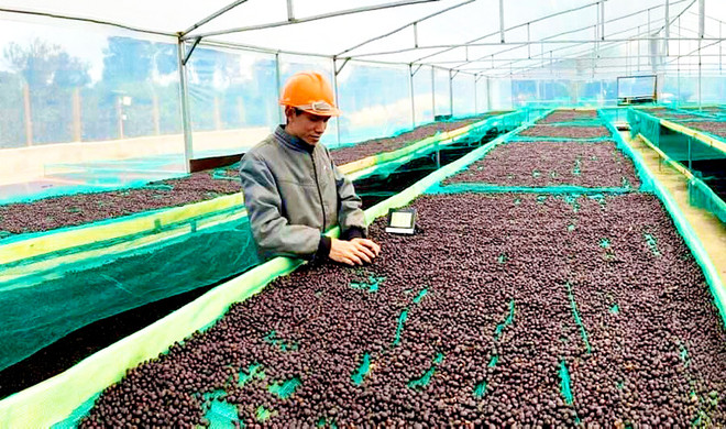 越南商品对以色列出口前景广阔 ảnh 1 越南商品对以色列出口前景广阔 ảnh 1