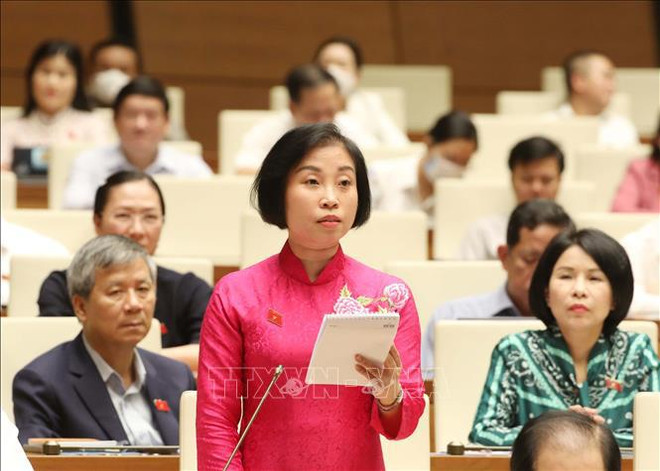 第十五届国会第五次会议：需要保持机票最高限价 ảnh 1