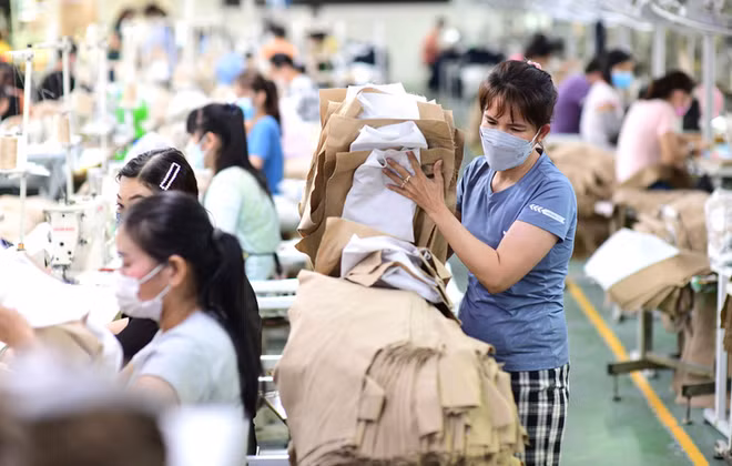 私营经济研发委调查结果：各家企业希望政府提供更多支持 ảnh 1