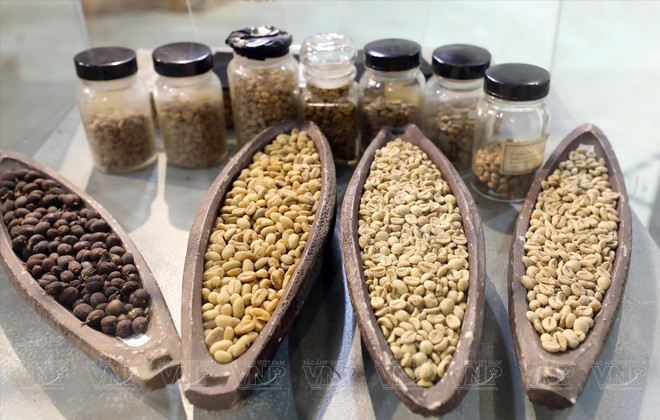 邦美蜀--世界咖啡城 ảnh 1 邦美蜀--世界咖啡城 ảnh 1