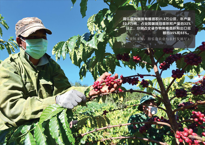 邦美蜀--世界咖啡城 ảnh 2 邦美蜀--世界咖啡城 ảnh 2