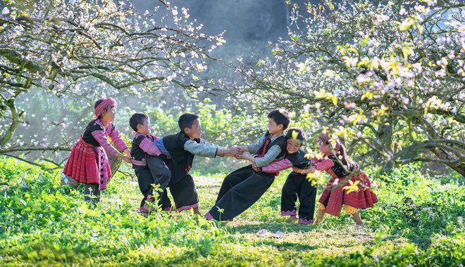 来木州高原品茶 感受大自然的气息和美景 ảnh 1 来木州高原品茶 感受大自然的气息和美景 ảnh 1