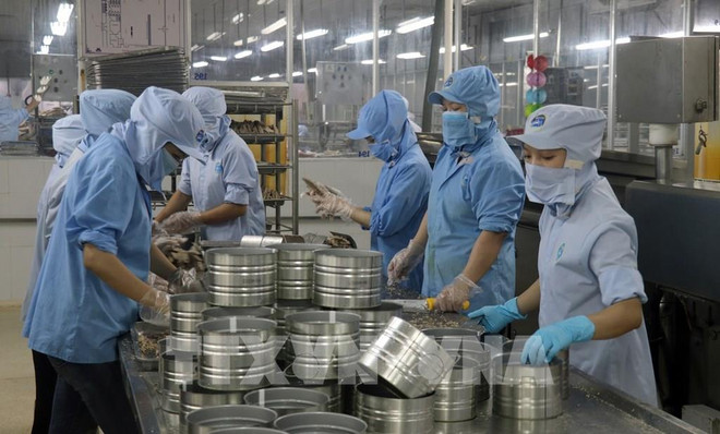 2024年第一个月坚江省商品出口有起色 ảnh 1